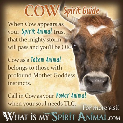 The cultural significance of cow magical suppers